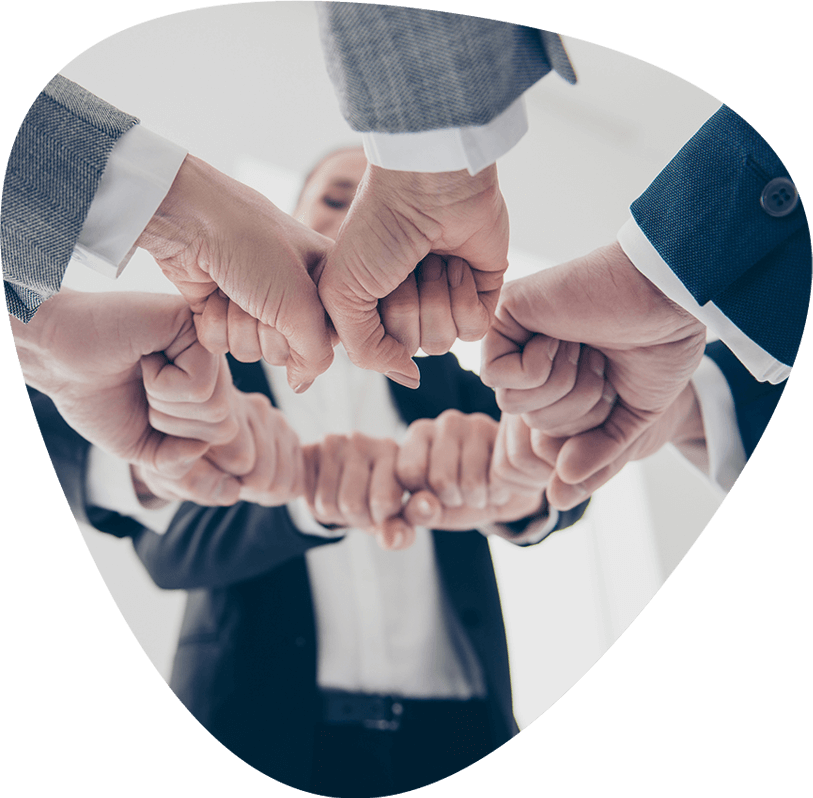 https://difcelaya.gob.mx/wp-content/uploads/2019/04/img-team.png