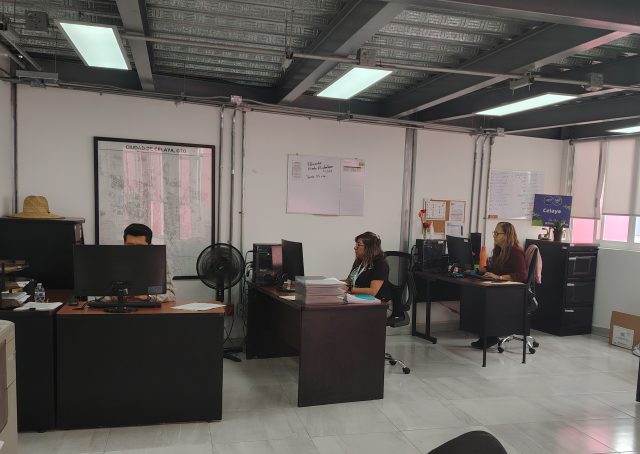https://difcelaya.gob.mx/wp-content/uploads/2025/06/Alimentario4-640x454.jpg