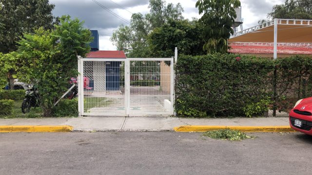 https://difcelaya.gob.mx/wp-content/uploads/2025/06/CAfi5-640x360.jpg