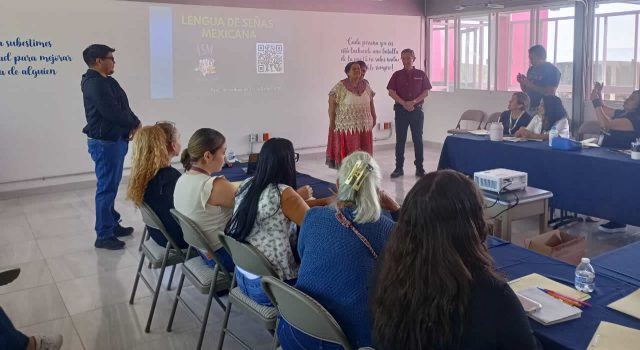 https://difcelaya.gob.mx/wp-content/uploads/2025/06/Fofa-3-1-640x350.jpeg