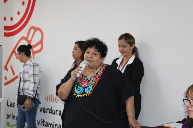 https://difcelaya.gob.mx/wp-content/uploads/2025/06/IMG_2364-640x427.jpg