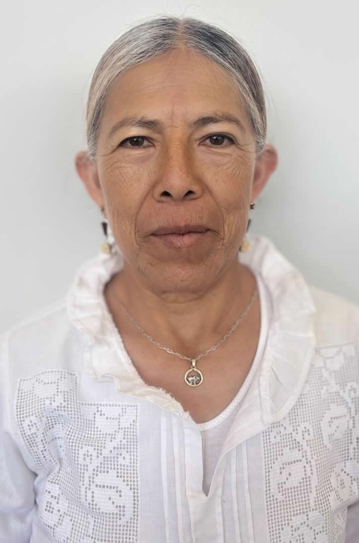 https://difcelaya.gob.mx/wp-content/uploads/2025/06/Landin-Moya-Ma.-Rosario.jpeg