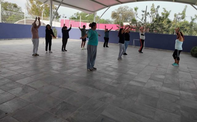 https://difcelaya.gob.mx/wp-content/uploads/2025/06/Pilares-3-640x396.jpeg