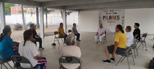 https://difcelaya.gob.mx/wp-content/uploads/2025/06/Pilares-4-640x288.jpeg