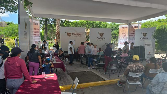 https://difcelaya.gob.mx/wp-content/uploads/2025/06/Vinculacion-5-640x360.jpeg