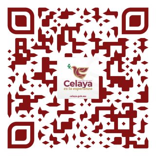 https://difcelaya.gob.mx/wp-content/uploads/2025/08/WhatsApp-Image-2025-08-27-at-14.08.40-320x320.jpeg