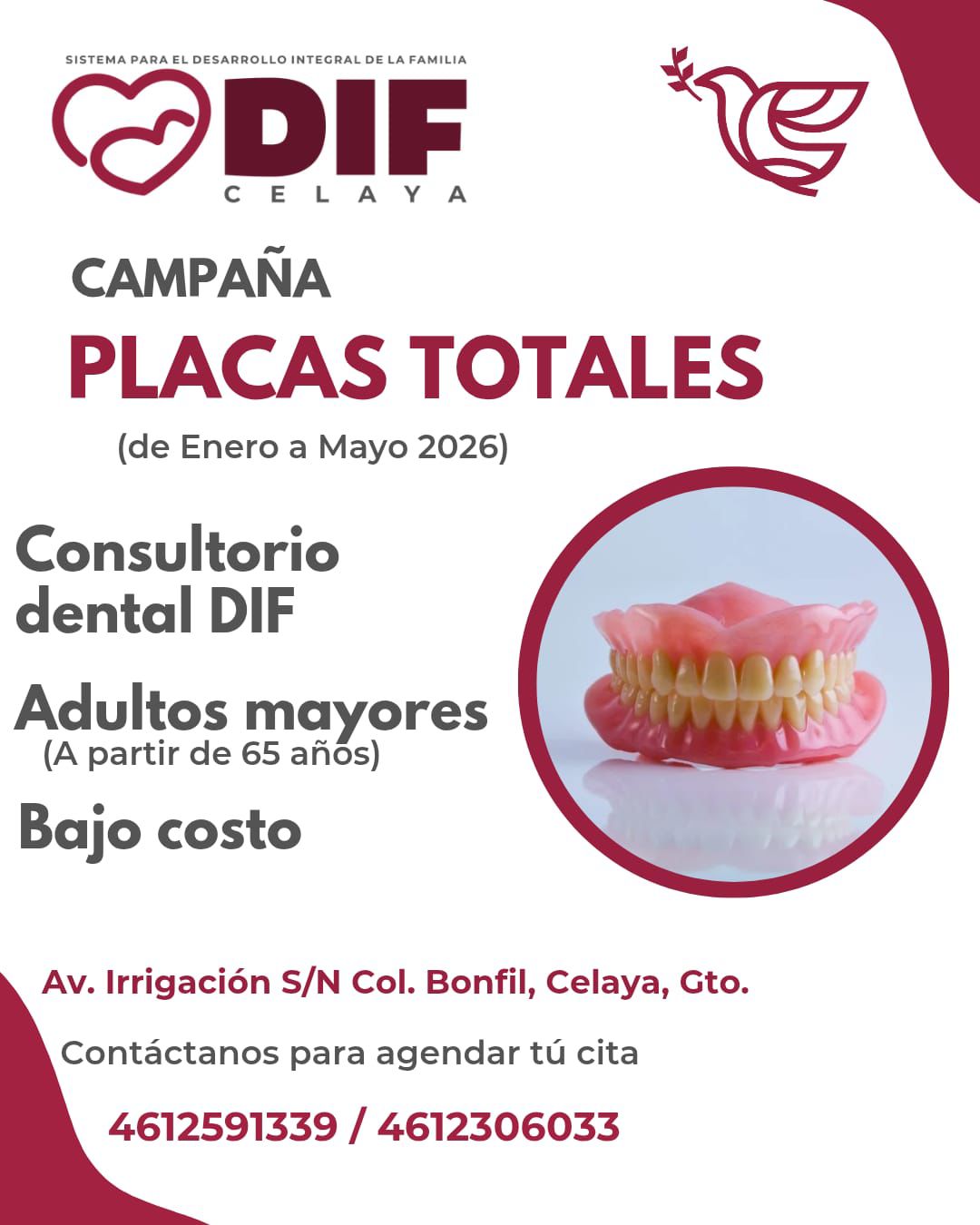 WhatsApp Image 2026-01-19 at 10.03.38 PM (1)